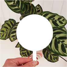 Load image into Gallery viewer, Personalised Plant Stake - Add your own image + message
